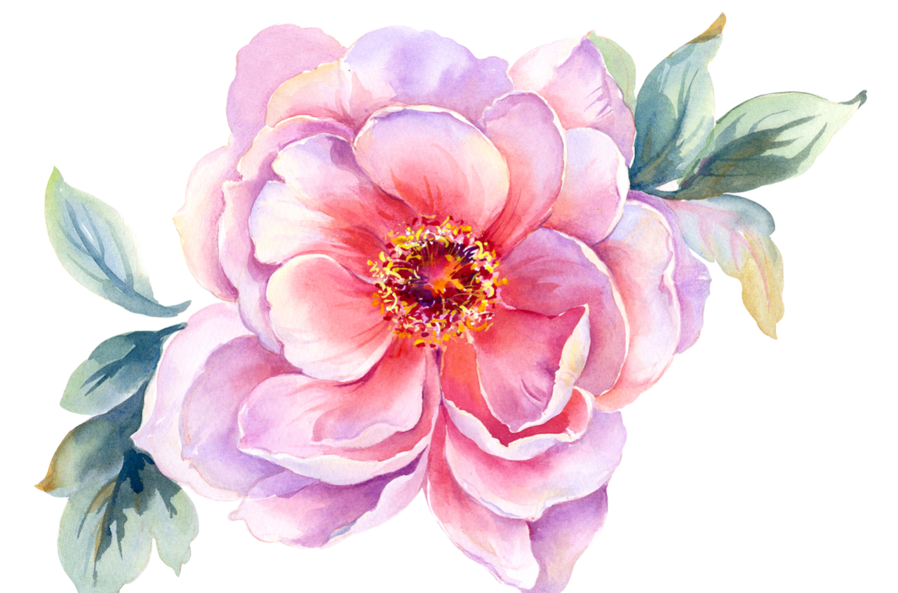 Rosa gemalte Blume